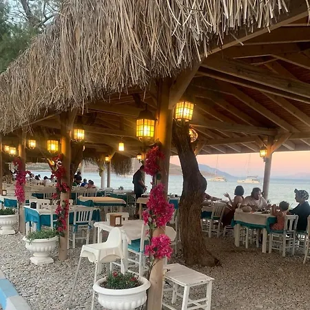 Avlu Palamutbükü *