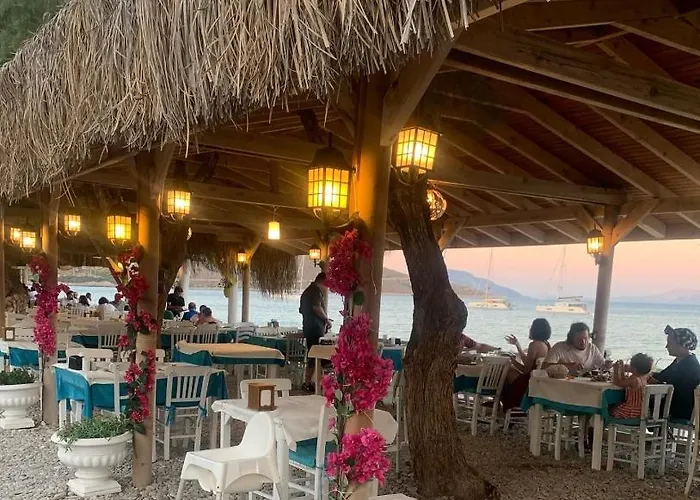 Avlu Palamutbükü *